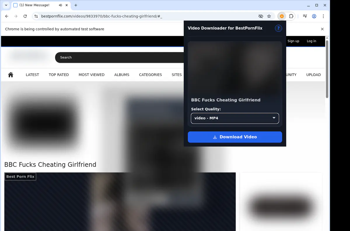Bestpornflix Video Downloader browser extension screenshot 3