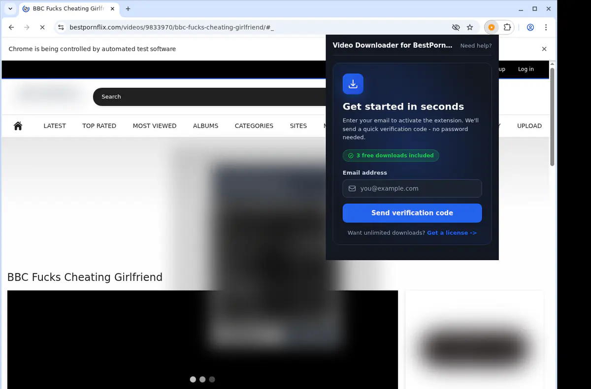 Bestpornflix Video Downloader browser extension screenshot 5